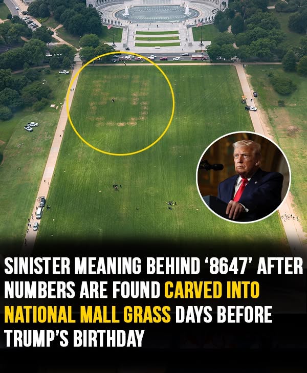 Sinister meaning behind ‘8647’ message after numbers are found carved ...